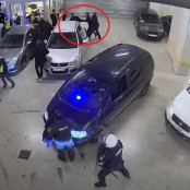 Ραζβάν Λουτσέσκου