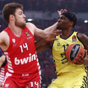 Νίκολα Μίροτιτς