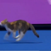 Αρίνα Σαμπαλένκα