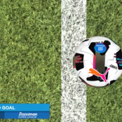 goal line technology