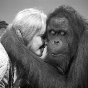 Κόπα Λιμπερταδόρες