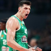 dinos mitoglou