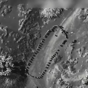 Ντόναλντ Τραμπ