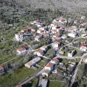 Κολοπετινίτσα