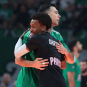 Βασίλιε Μίτσιτς