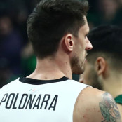 Ακίλε Πολονάρα