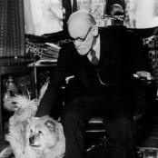 Σίγκμουντ Φρόιντ