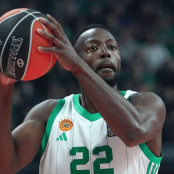 Τρεντ Φόρεστ