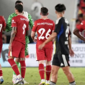 Ντάργουιν Νούνιες