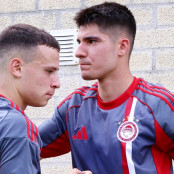 Σταύρος Πνευμονίδης