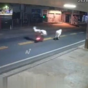 Ποδοσφαιριστής