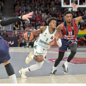 Τρεντ Φόρεστ