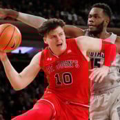 Αμάρ Αλιμπέγκοβιτς