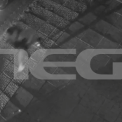 Μιχάλης Κατρίνης