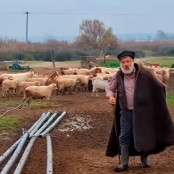 Μέγας Αλέξανδρος