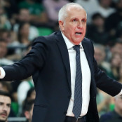 Μίρκο Οτσόκολιτς