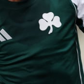 Γιάννης Αλαφούζος