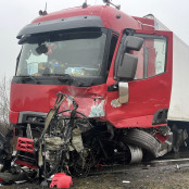 Αναστάσιος Αλχαζίδης