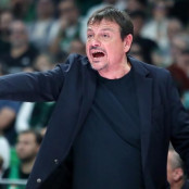 Νάιτζελ Χέιζ Ντέιβις