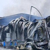 Φωτιά Βιολάντα