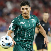 Ραζβάν Λουτσέσκου