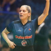 Βαγγέλης Αλεξανδρής