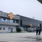 Φωτιά Βιολάντα