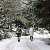 Πρωτοχρονιά