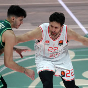 Βασίλιε Μίσιτς