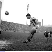 Βασίλης Μποτίνος