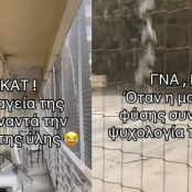 καταγγελία