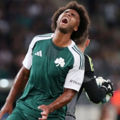 Πάλμερ Μπράουν