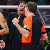 Τοντ Γουόρνικ