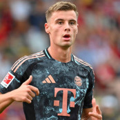 Γκαμπριέλ Βίντοβιτς