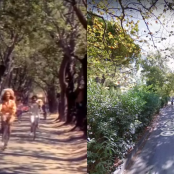 Αλίκη στο Ναυτικό