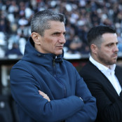 Ραζβάν Λουτσέσκου