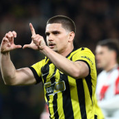 Μιρτσέα Λουτσέσκου