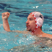 Νόβι Μπέογκραντ