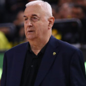 Πέτζα Στογιάκοβιτς