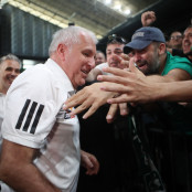 Ζέλικο Ομπράντοβιτς