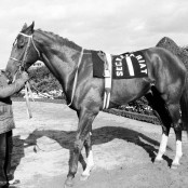 Seabiscuit