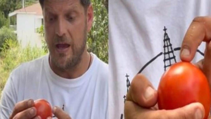 "Δεν είναι το χρώμα": Έλληνας αγρότης έδειξε πώς διαλέγουμε ντομάτες (Viδ)