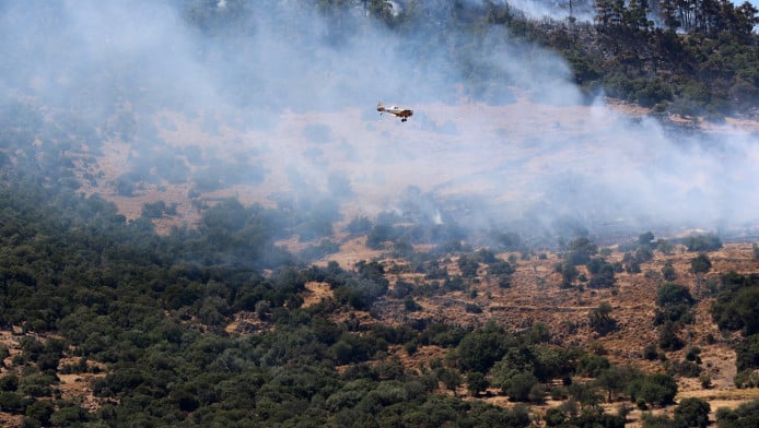 ΒΙΝΤΕΟ ντοκουμέντο από τη στιγμή που ξεσπά η φωτιά στον Μαραθώνα