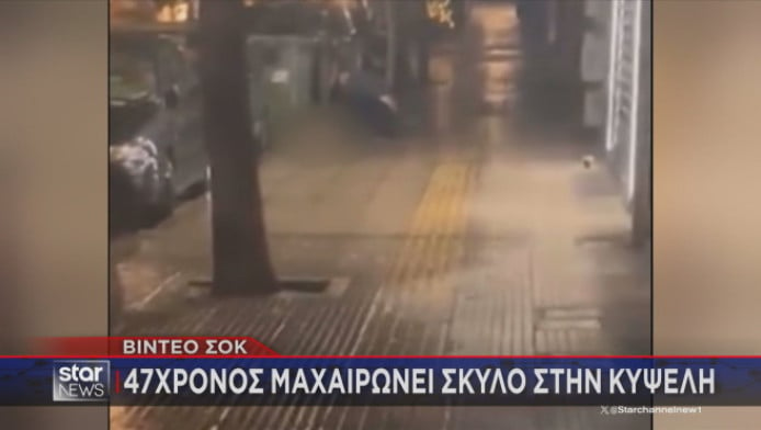 Βίντεο - σοκ: 47χρονος μαχαιρώνει σκύλο στην Κυψέλη! 