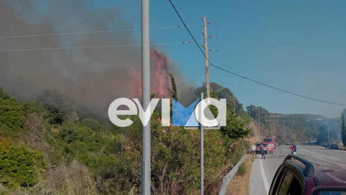 Συναγερμός: Μεγάλη πυρκαγιά στον Αλμυροπόταμο Εύβοιας (ΒΙΝΤΕΟ - ΦΩΤΟ)