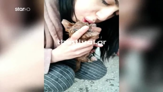 Νοσηλεύτρια επανέφερε στη ζωή γατάκι που έπεσε σε φρεάτιο - Υπέροχο βίντεο