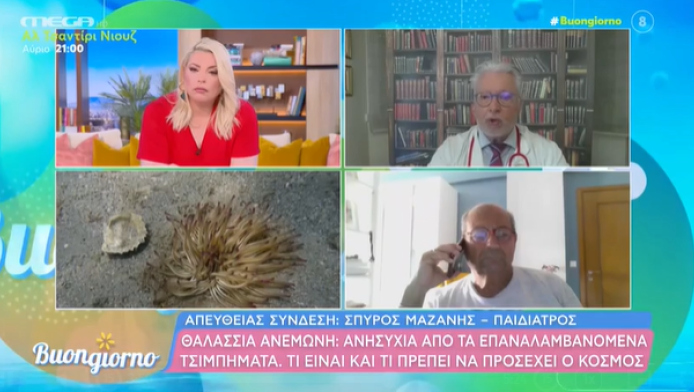 Τι είναι η θαλάσσια ανεμώνη - Πέντε τσιμπήματα στην Κρήτη