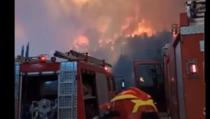 Φωτιά στον Φενεό Κορινθίας: Δύο προσαγωγές υπόπτων (ΒΙΝΤΕΟ)