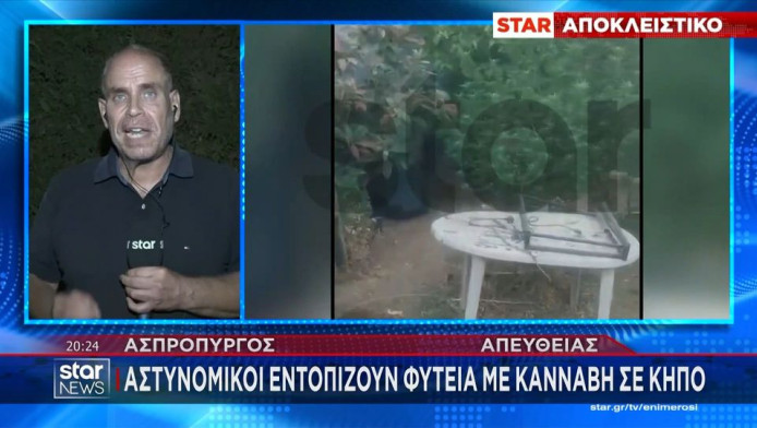 Τώρα κλαίνε όλα τα αλάνια! Μεγάλη φυτεία εξαρθρώθηκε στον Ασπρόπυργο