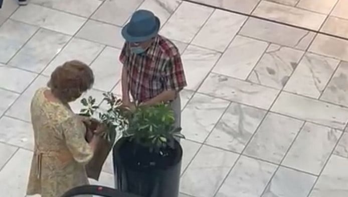 Γιατί γιαγιά και παππούς από την πλευρά του πατέρα δεν είναι τόσο "καλοί";